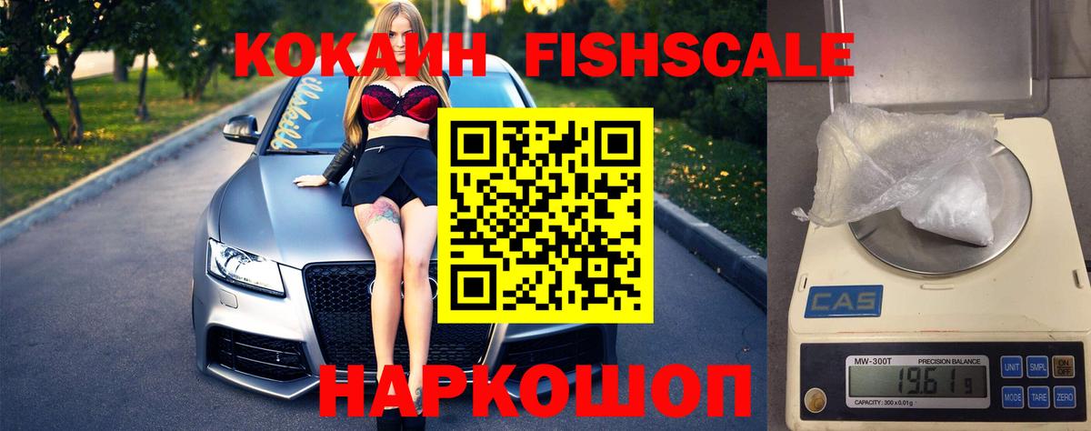 Cocaine Fish Scale  Вход с VPN  Киселёвск 